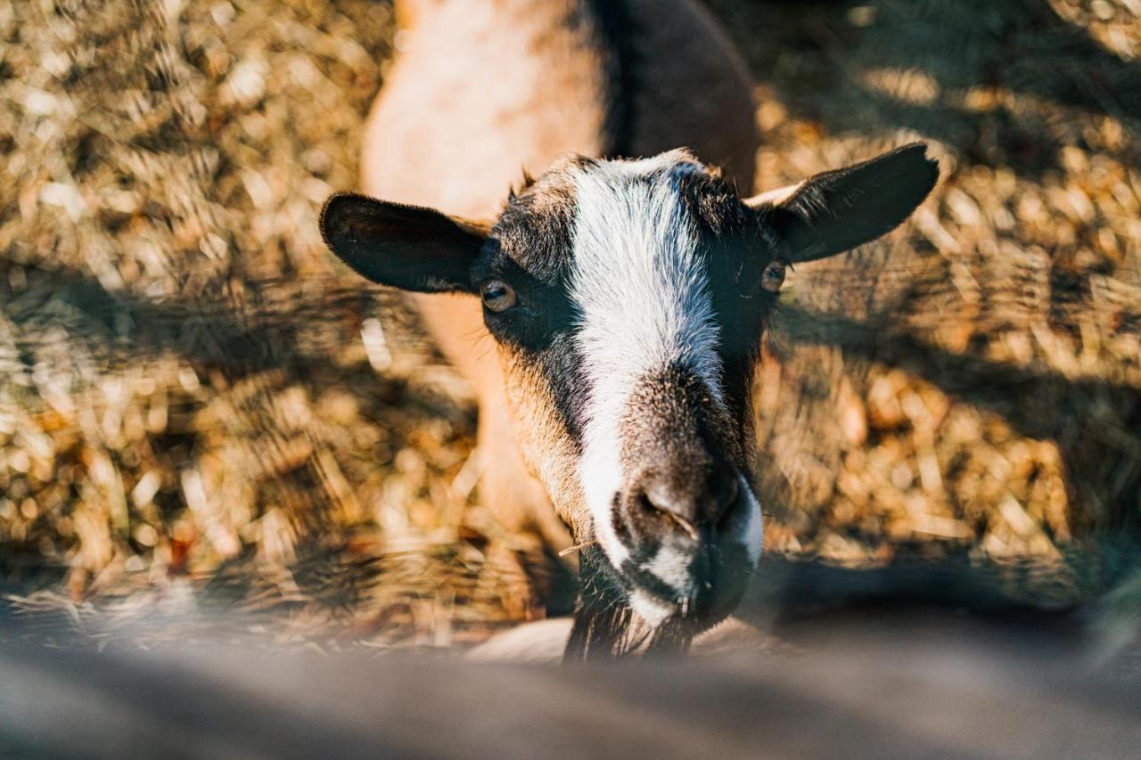 La Tenuta Di Santo Stefano Agri Resort & Spa Fossano Eksteriør billede