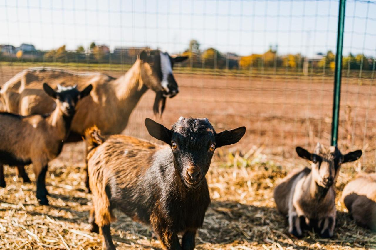 La Tenuta Di Santo Stefano Agri Resort & Spa Fossano Eksteriør billede